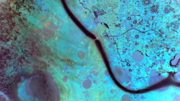 Curlicue des Peintures 