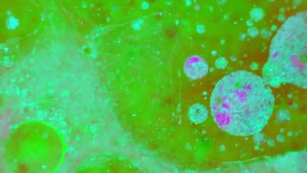 Curlicue des Peintures 