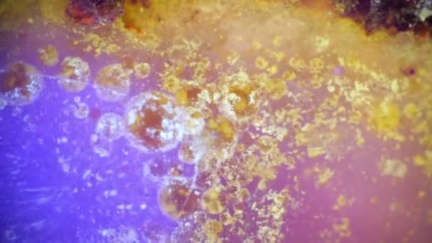 Curlicue des Peintures 