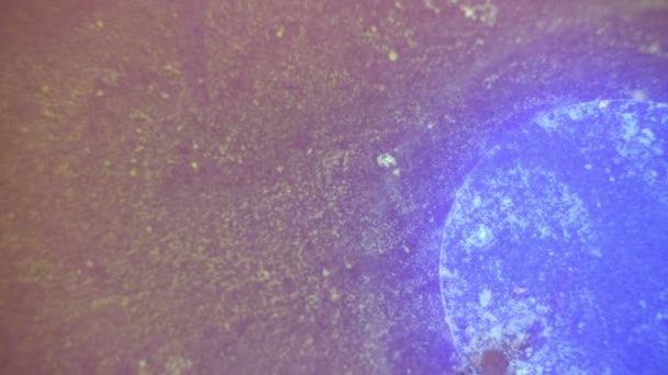 Curlicue des Peintures 