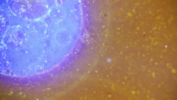 Curlicue des Peintures 