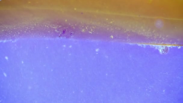 Curlicue des Peintures 