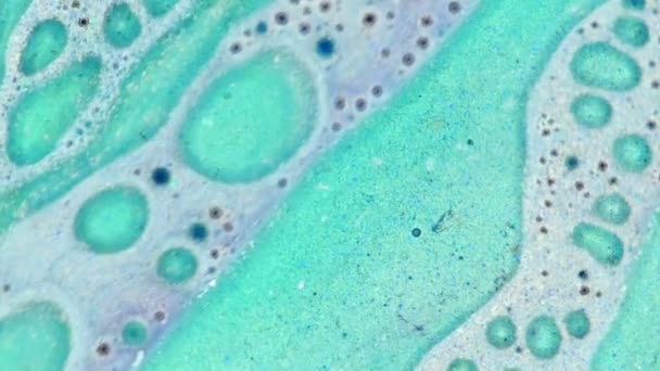 Curlicue des Peintures 