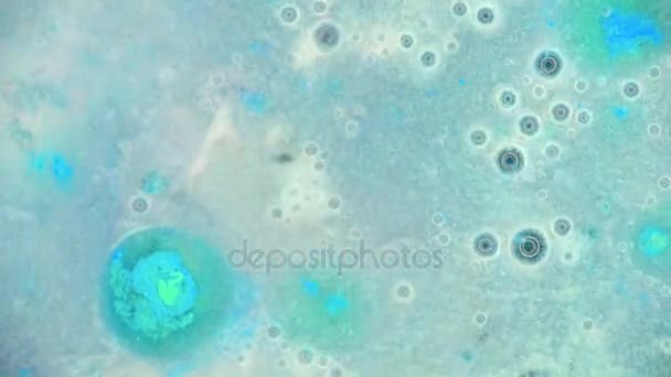 Curlicue des Peintures 