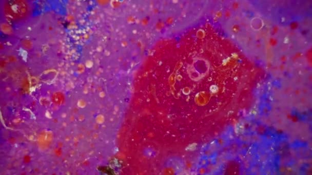 Curlicue des Peintures 