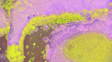 Boyalar, muhteşem Patterns.curlicue