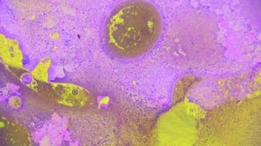 Boyalar, muhteşem Patterns.curlicue