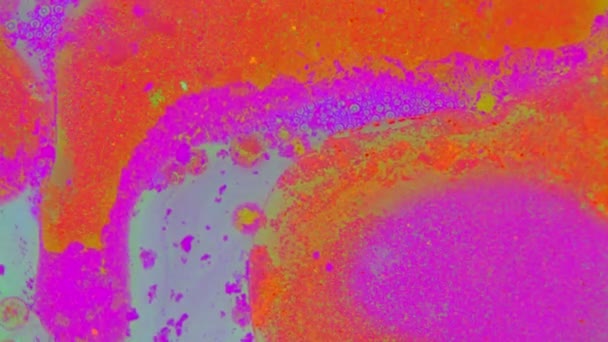 Patterns.curlicue fabuleux de peintures 