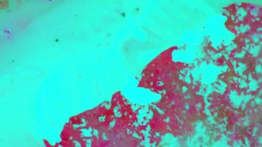 Boya yapmamı. Harika desenler