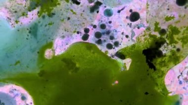 Boya yapmamı. Harika desenler