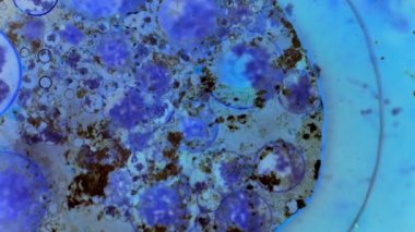 Boya yapmamı. Harika desenler