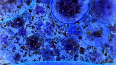 Boya yapmamı. Harika desenler