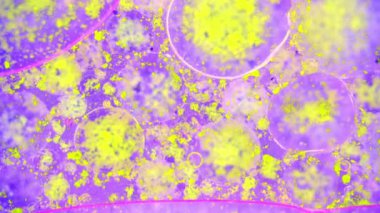 Boya yapmamı. Harika desenler