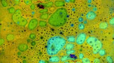 Boya yapmamı. Harika desenler