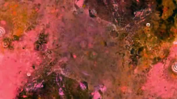 Curlicue des Peintures. Modèles fabuleux 