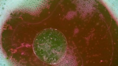 Boya yapmamı. Harika desenler