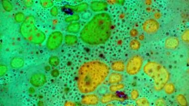 Boya yapmamı. Harika desenler