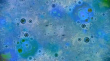 Boya yapmamı. Harika desenler