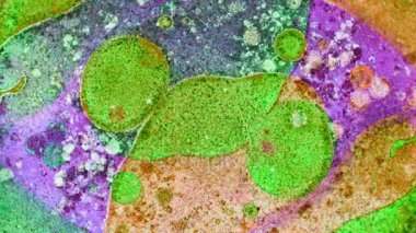 Boya yapmamı. Harika desenler