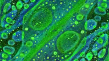 Boya yapmamı. Harika desenler