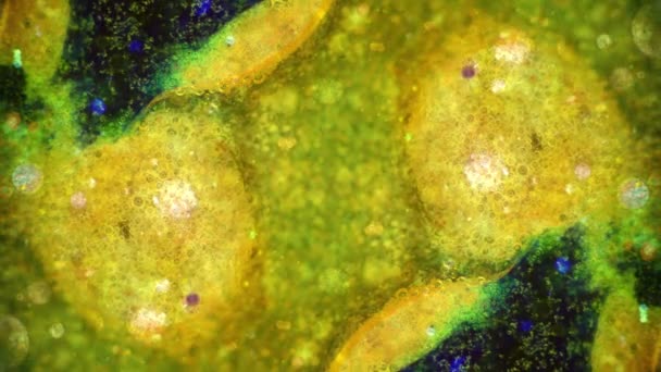 Curlicue des Peintures 