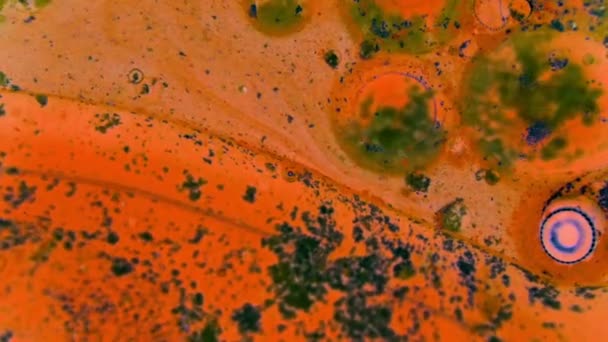 Curlicue des Peintures. Modèles fabuleux 