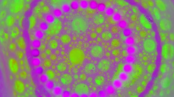 Curlicue des Peintures. Modèles fabuleux 