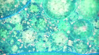 Boya yapmamı. Harika desenler