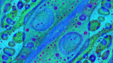 Boya yapmamı. Harika desenler