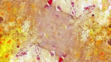 Boya yapmamı. Harika desenler