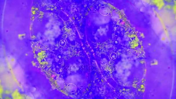 Curlicue des Peintures 