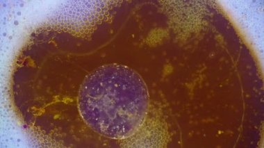 Boya yapmamı. Harika desenler