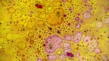 Boya yapmamı. Harika desenler