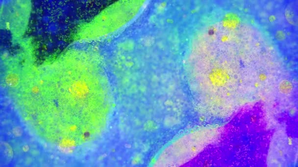 Curlicue des Peintures 