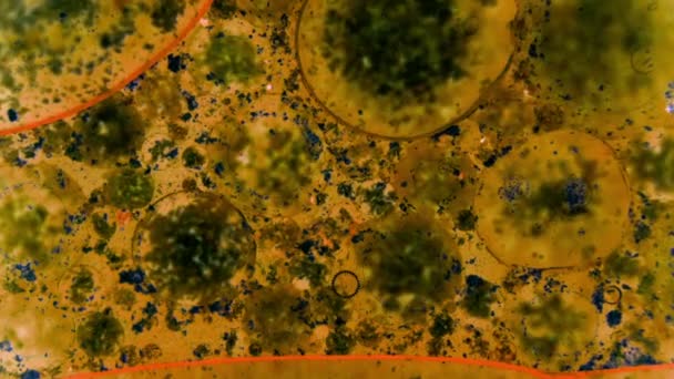 Curlicue des Peintures. Modèles fabuleux 