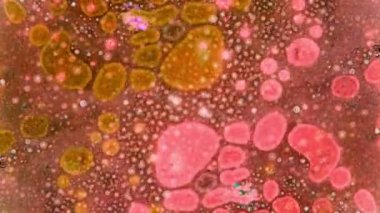 Boya yapmamı. Harika desenler