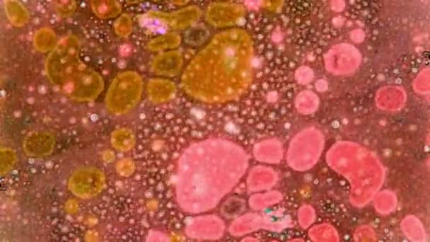 Curlicue des Peintures. Modèles fabuleux 