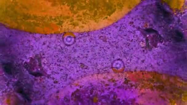花饰植物的涂料 — 图库视频影像