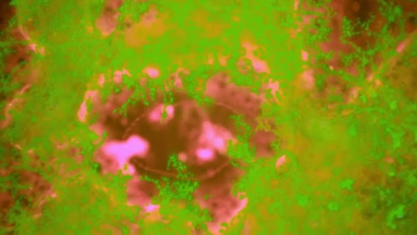 花饰植物的涂料 — 图库视频影像