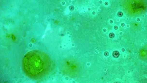 Curlicue des Peintures 