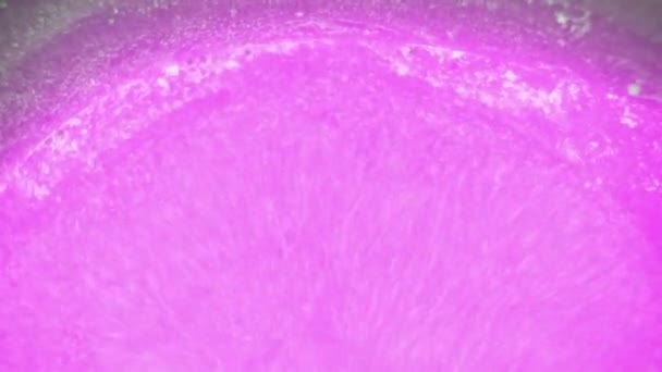 Curlicue des Peintures 