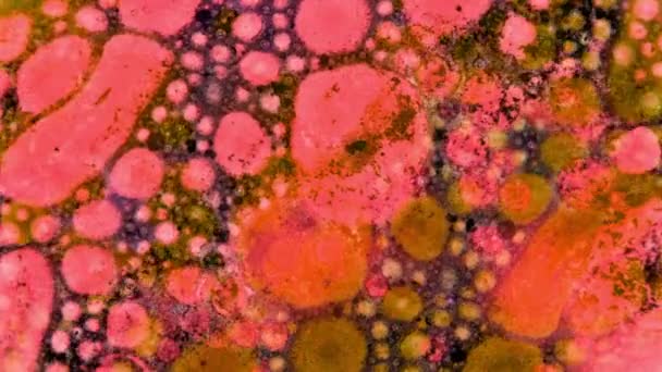 Curlicue des Peintures 