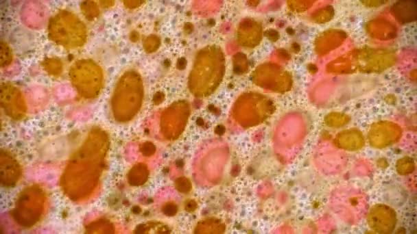 Curlicue des Peintures 