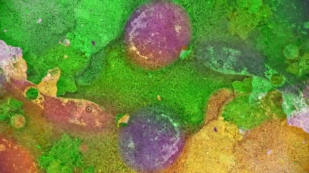 Curlicue des Peintures 