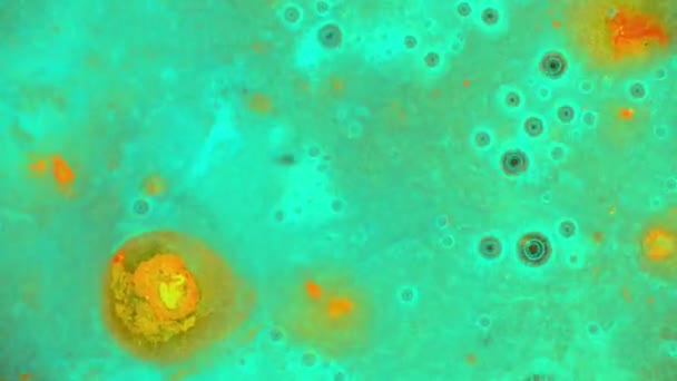 Curlicue des Peintures 