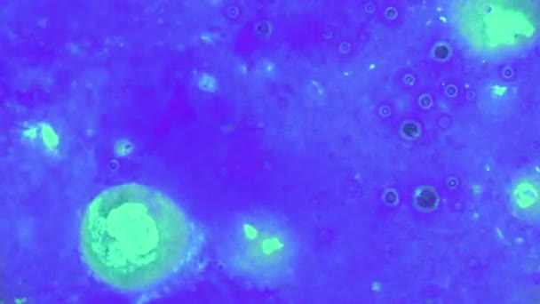 Curlicue des Peintures 