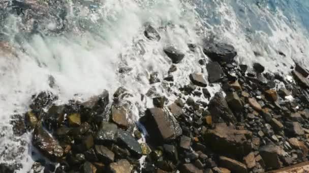 해변의 바위에 파도가 충돌 — 비디오