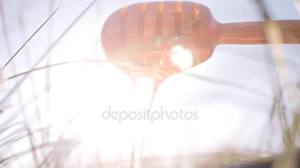 Μέλι Dipper.flowing μέλι — Αρχείο Βίντεο