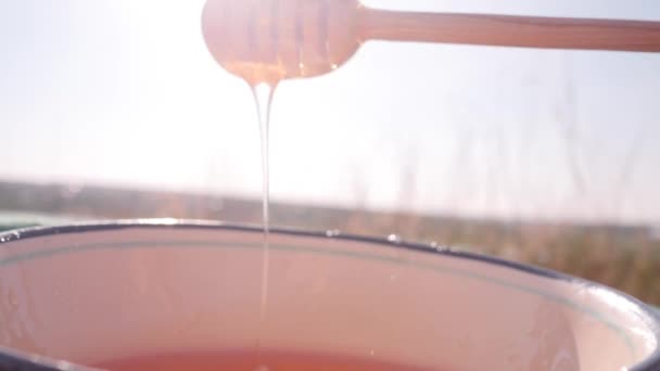 Honing Dipper.flowing honing. — Stockvideo