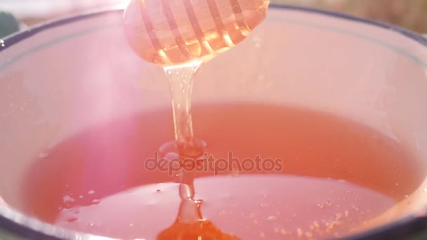 Honey Dipper.flowing Honey. — Stock Video